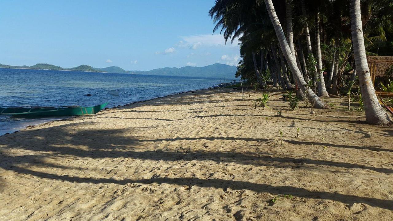 Plumeria Eco-Resort El Nido Kültér fotó