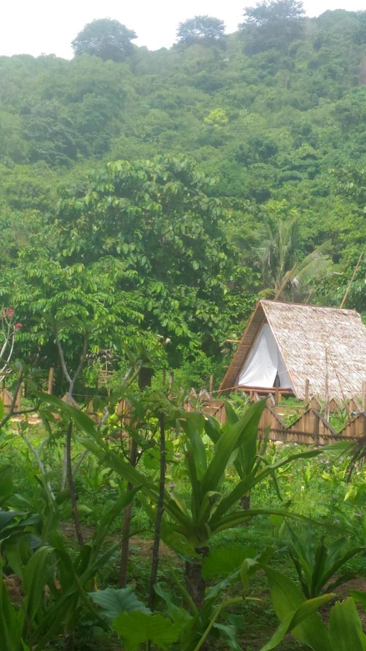 Plumeria Eco-Resort El Nido Szoba fotó